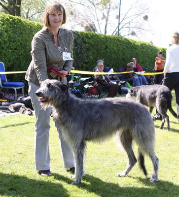 TRENTDALE GLAMIS OR LYNDORTHWIN